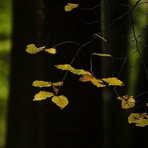 _DSC8689.jpg
