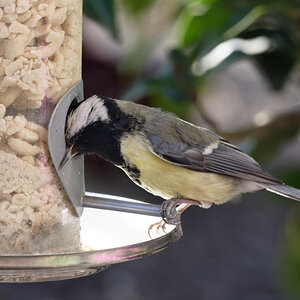 D72_5715_DxO.jpg