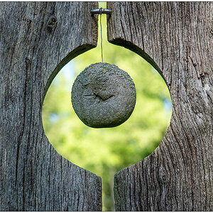 234 Installation "In der Natur bleiben"