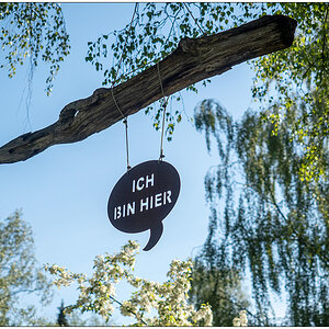 235 Installation "Ich bin hier"