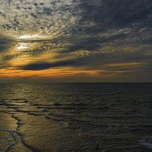 _DSC0081_nf.jpg