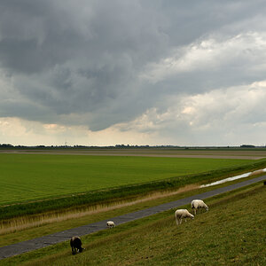 20200516_134629nf.jpg