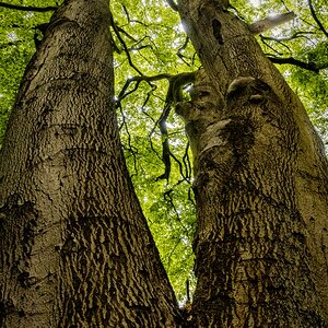 TZ_DSC01508_A.jpg