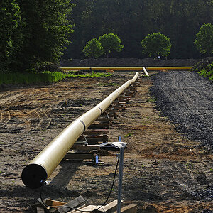 _D3S3382Kxl.jpg