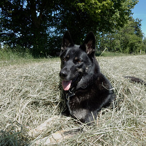 DSCN4830.jpg