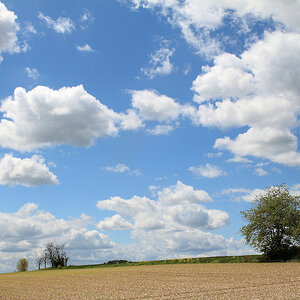 DSC_10362.jpg