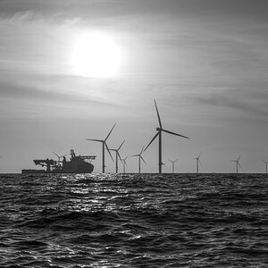 D75_3710-156sw.jpg