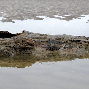 DSC_2422.jpeg