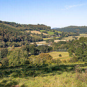 DSC_0878.jpg