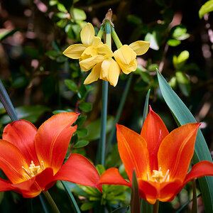 0418_1314_D8H_6412.jpg