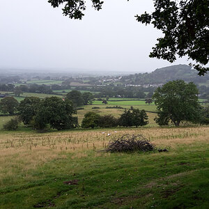 20190930_154110.jpg