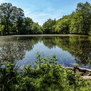 TZ_DSC01578_A.jpg