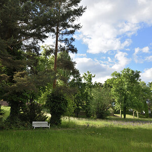 DSC_9782.JPG