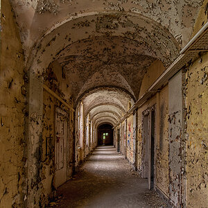 DSC_0193a.jpg