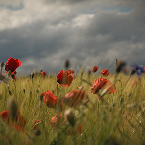 NF_DSC_4884.jpg