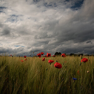 NF_DSC_4893.jpg