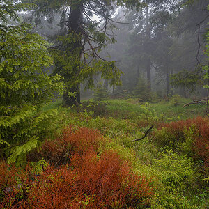 D81_2802.jpg