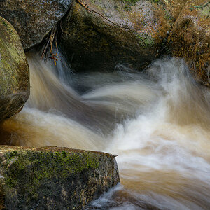D81_2807.jpg