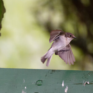 D72_5806_DxO.jpg