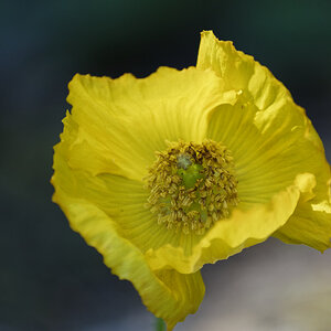 _DSC7612NF.jpg