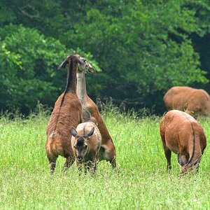 2020_18240.jpg