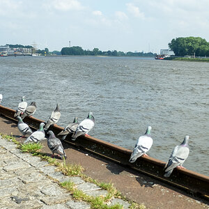 20200612-007.jpg