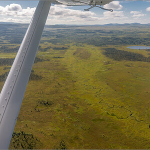 Alaska_2018-2078.jpg