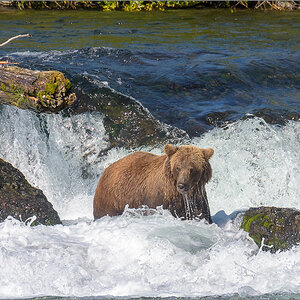 Alaska_2018-2112.jpg