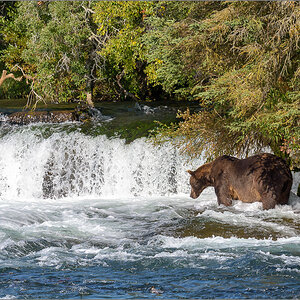 Alaska_2018-2095.jpg