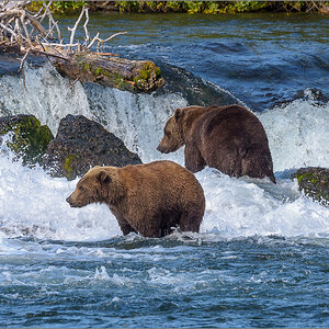 Alaska_2018-2091.jpg