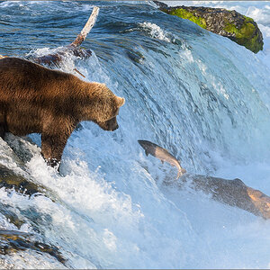 Alaska_2018-2667.jpg