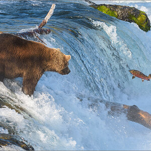 Alaska_2018-2665.jpg