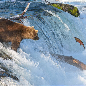 Alaska_2018-2664.jpg