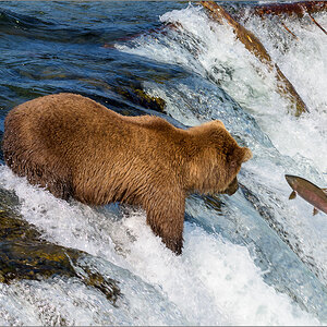 Alaska_2018-2264.jpg