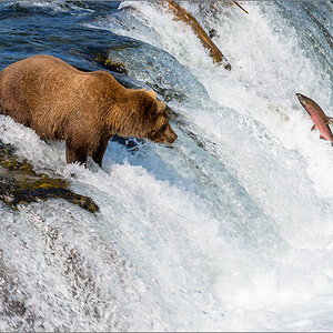 Alaska_2018-2262.jpg