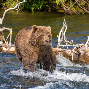Alaska_2018-2223.jpg