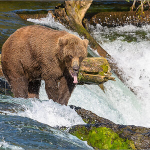 Alaska_2018-2221.jpg