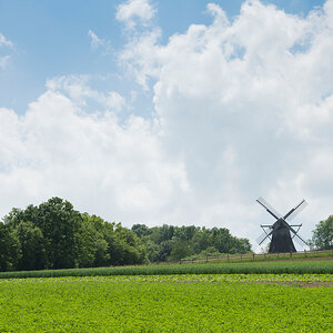 Museum-Detmold-3.jpg
