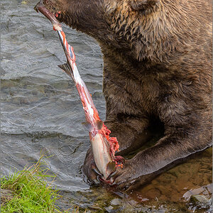Alaska_2018-2839.jpg