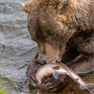 Alaska_2018-2838.jpg