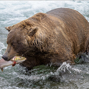Alaska_2018-2832.jpg