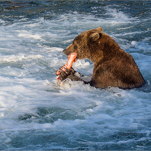 Alaska_2018-2693.jpg
