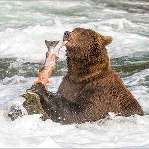 Alaska_2018-2179.jpg