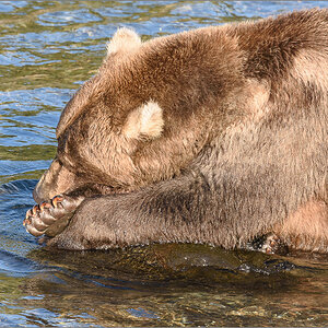 Alaska_2018-2654.jpg