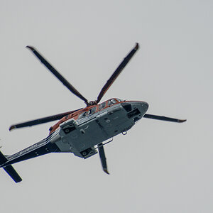 20200615_080328_nf.jpg