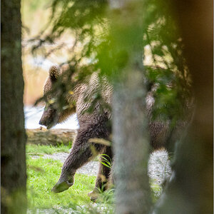 Alaska_2018-2924.jpg