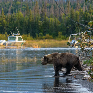 Alaska_2018-2814.jpg