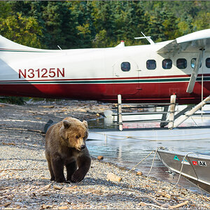 Alaska_2018-2560.jpg