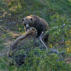 Alaska_2018-2244.jpg