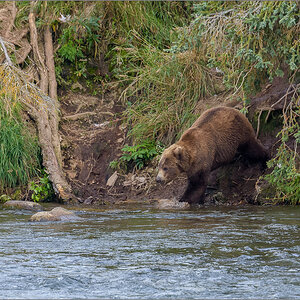 Alaska_2018-2876.jpg